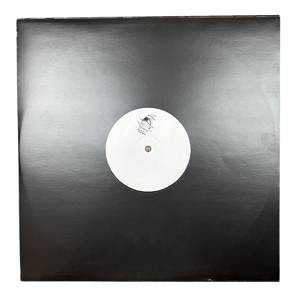 Fiesta Soundsystem - Inflorescence Pt. Two - Ex Materia
