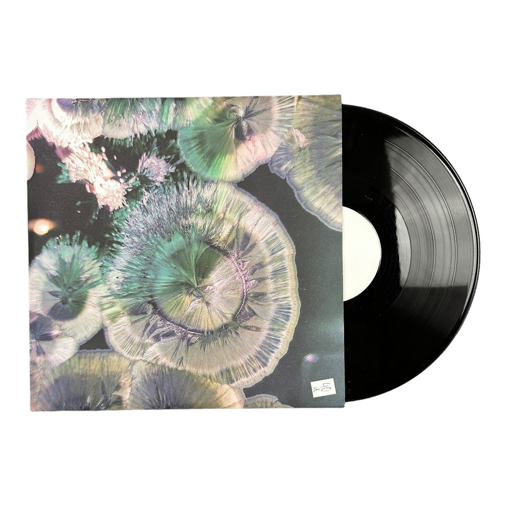Five Rituals – V Rituals - Ex Materia