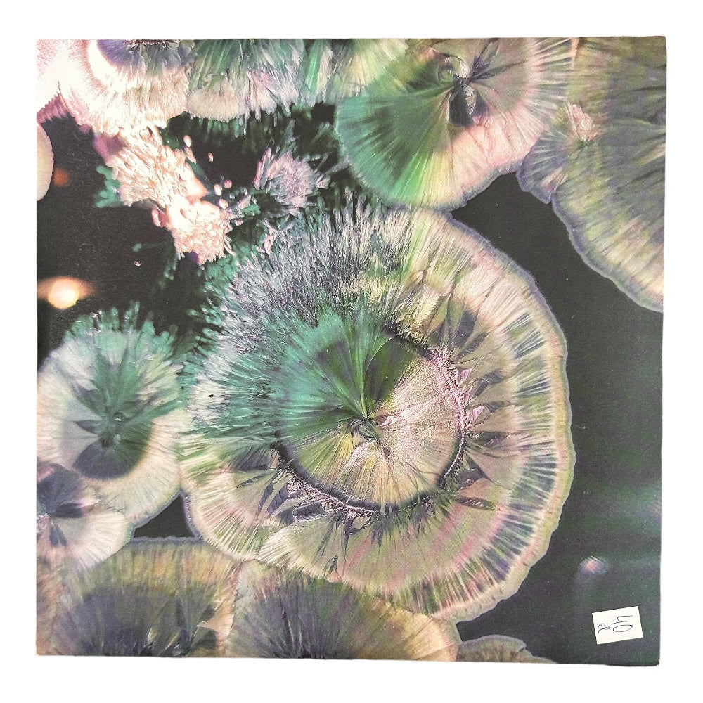 Five Rituals – V Rituals - Ex Materia
